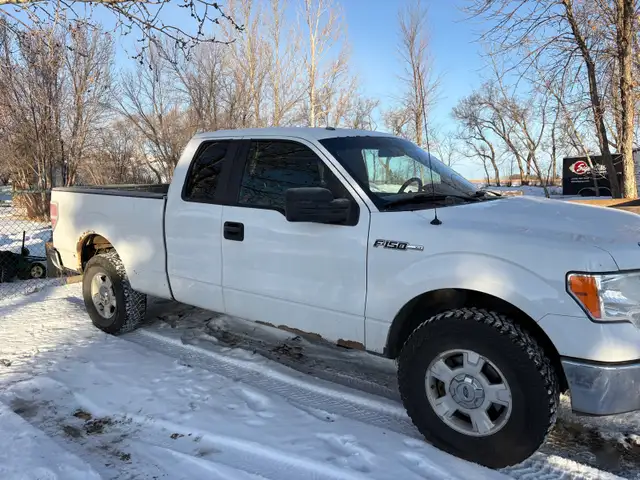 2013 Ford F-150 in Cars & Trucks in Calgary - Image 2