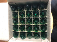 New Rona bulbs(25) in a box green 7w for indoor/outdoor