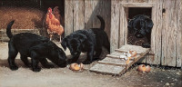 Black lab puppies in the hen house vintage artwork