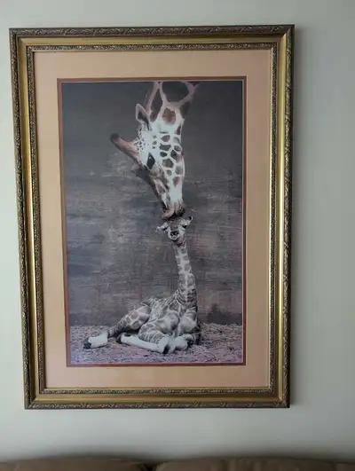 Giraffe baby mother first kiss, View more