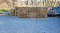 Straw bales for sale