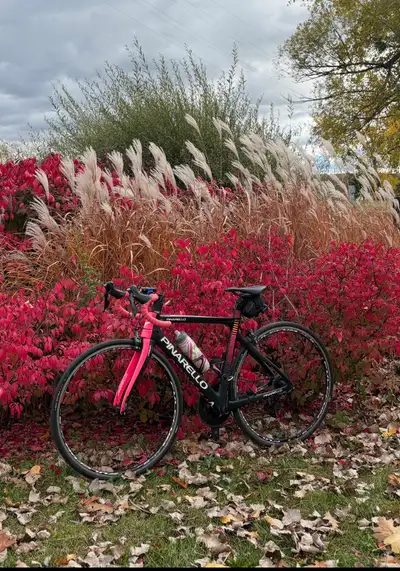 a qui la chance vélo PINARELLO , View more