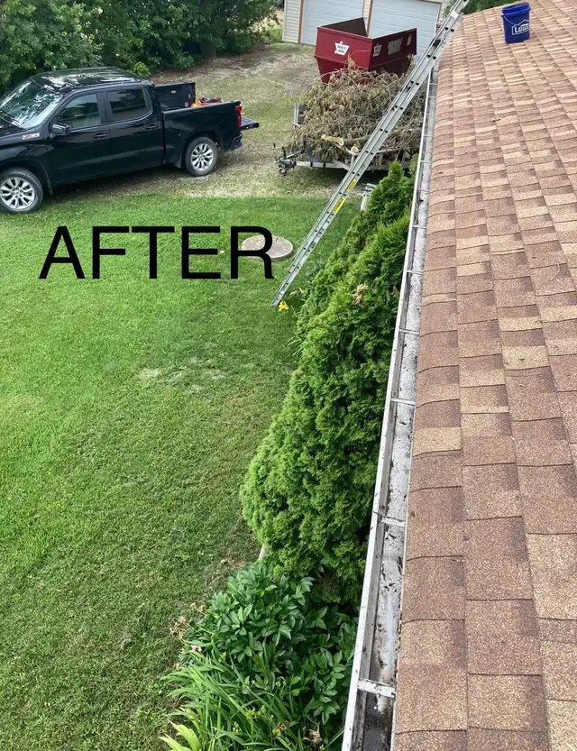 Gutter & Eavestrough cleaning service.523046275441633281