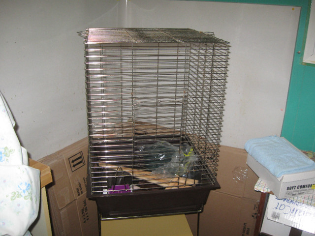 Cage pour cockatiel ou petit perroquet dans Accessoires  à Lévis - Image 2
