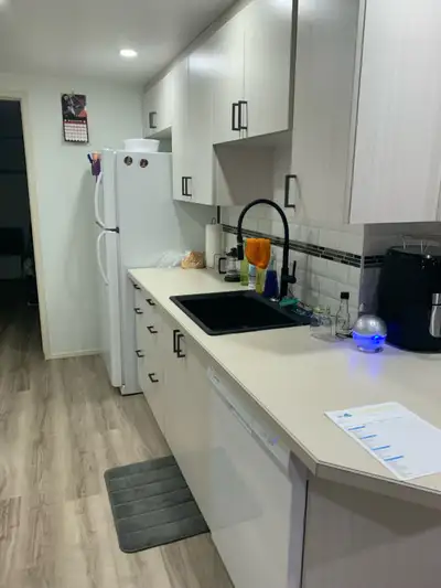 Basement Suite