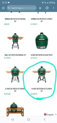 Brand new XL green egg with all accessories 