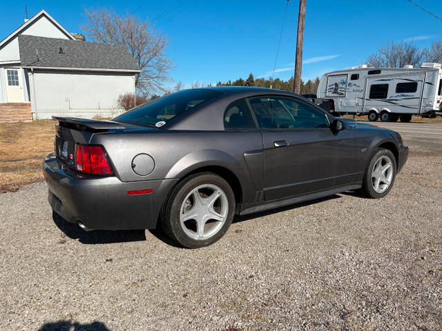 2003 Ford Mustang GT ** 42,000kms ** in Cars & Trucks in Hamilton