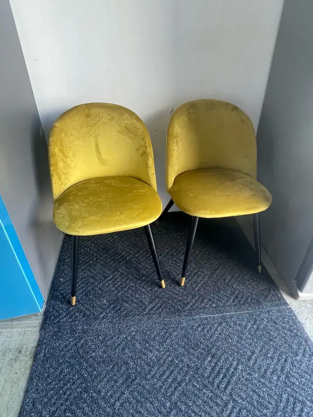 2 NEW Yellow Velvet Dining Chairs    in Chairs & Recliners in London - Image 2