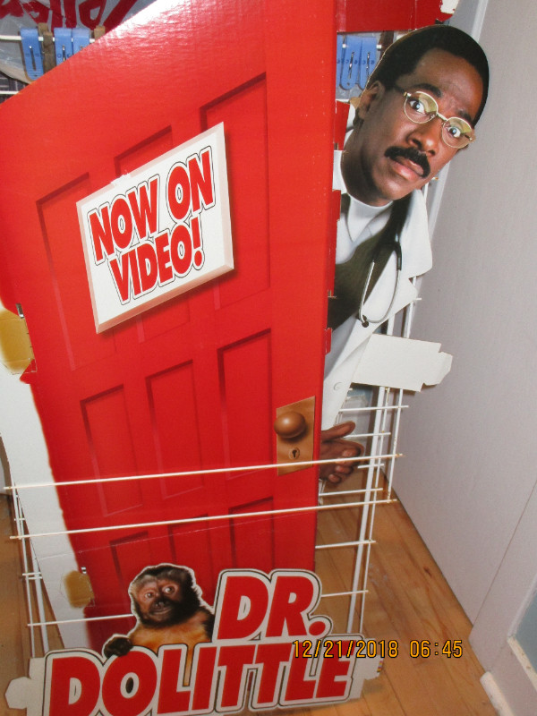 Eddie Murphy (dr dolittle) cardboard cutout in Arts & Collectibles in Dartmouth - Image 2