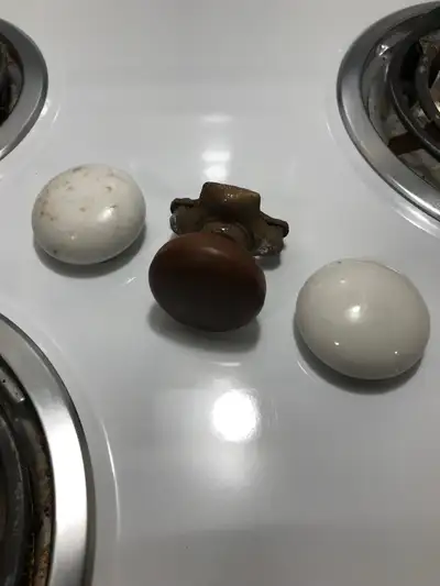 3 - Antique Door Knobs . , View more