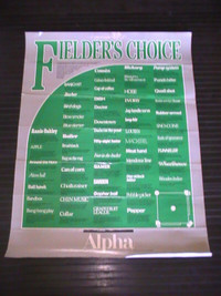 "Fielder's Choice" Baseball Jargon Fun Poster (from the 70's)