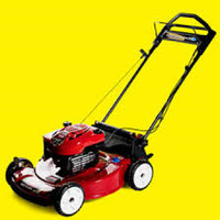 Professional Lawn Mower, Snow Blower and small engine repair.