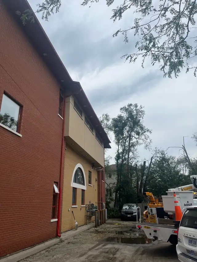 Tree Removal | Pruning | Fully Insured | (416) 206-1460 in Lawn, Tree Maintenance & Eavestrough in City of Toronto - Image 8