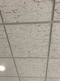2x2 white textured acoustic ceiling tiles