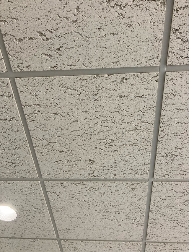 2x2 white textured acoustic ceiling tiles in Home Décor & Accents in Leamington