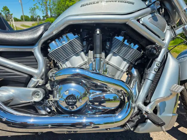 10th Anniversary Harley Davidson Vrod in Street, Cruisers & Choppers in St. Catharines - Image 4