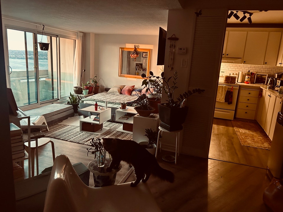 Bright 2-Bedroom Furnished Condo-3 Double Beds-Gym-Pool 2