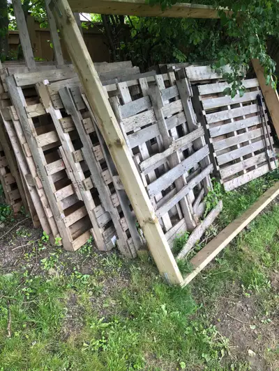 Free pallets , View more