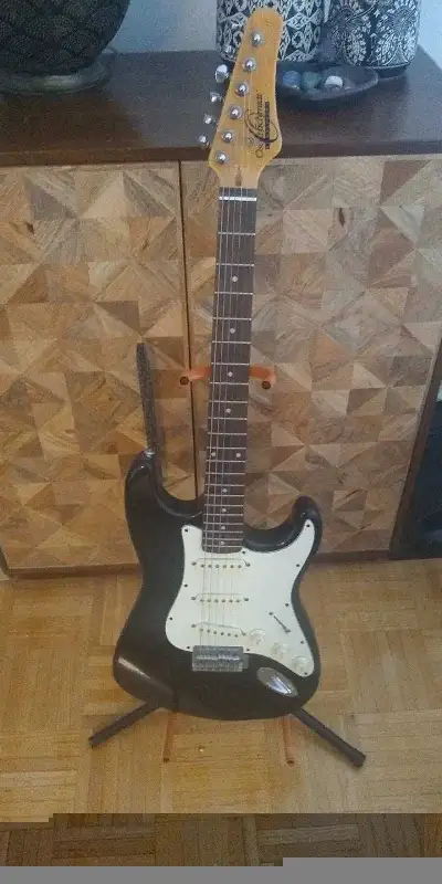 Washburn Guitar , View more