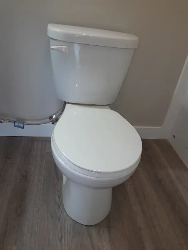 Professional Cleaning service64402009669250124