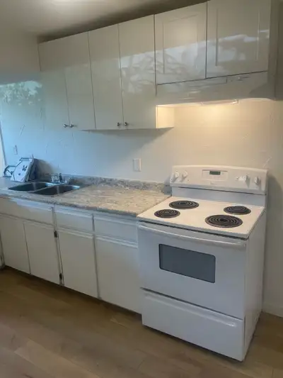 Newly renovated Basement for Rent