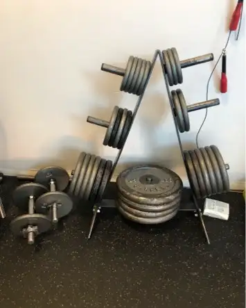 Very good condition. 275 lbs in plates, one barbell, three dumbbells, stand, four sets of collars. $...