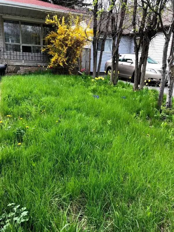 Private bedroom near Finch station in Room Rentals & Roommates in City of Toronto - Image 10