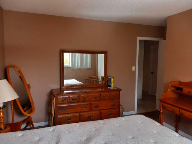 Masterbedroom shared house with other male  in Long Term Rentals in North Bay - Image 2