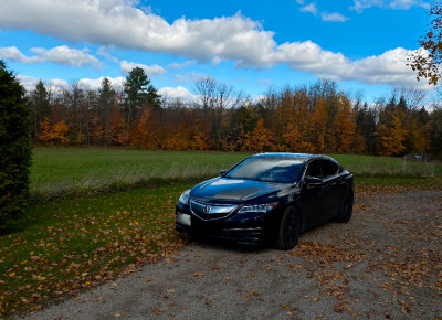 Best Price - 2015 ACURA TLX Tech (Winter Tires/Wheels Included)