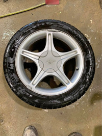 wanted-mustang gt starfish wheel, windsor area