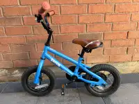 Toddler Bike (12") with Training Wheels