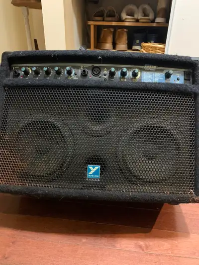 Yorkville AM100 acoustic reverb., View more