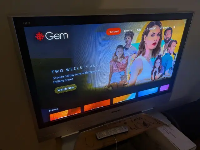 42" Panasonic plasma TV with remote