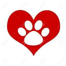 ❤️❤️ Vanesah's Loving Pet Care Services ❤️ ♥️ , View more