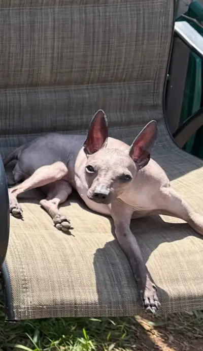 Do you like long walks on the beach ?snuggling while watching Netflix? Suntanning in direct sunlight...