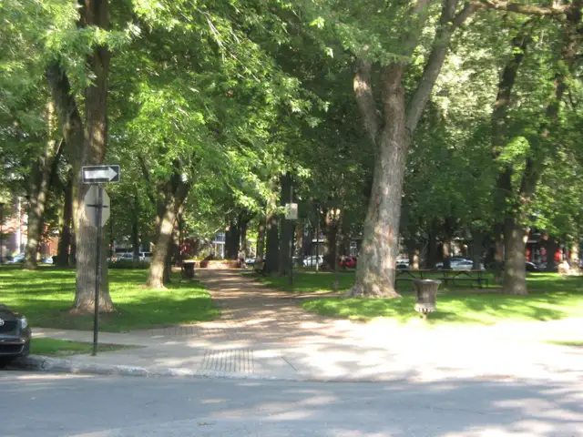 Two 5.5s (one 3-bed, one 2-bed) in the S-Ouest (Jolicoeur metro) in Long Term Rentals in City of Montréal - Image 2