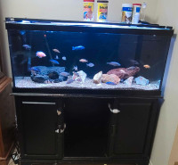 Aquarium 75 gallon with stand and filter