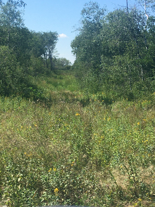 160 Acres for Sale in Interlake near Lundar Land for Sale Winnipeg