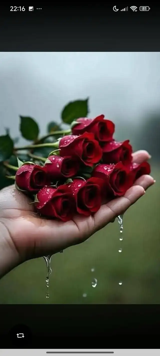 Looking for good friend 