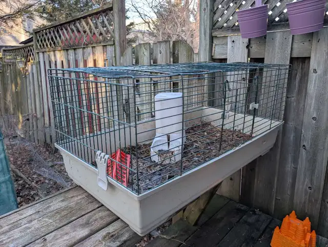 Bird Cage  in Accessories in St. Catharines - Image 2