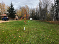 Acreage with house for sale