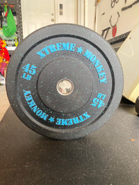 Weightlifting Bumper Plates for sale 