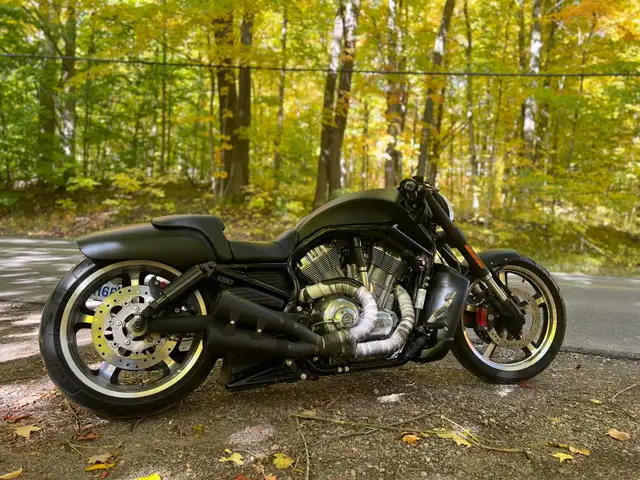 Harley Davidson V-rod Vrod muscle 2015 in Street, Cruisers & Choppers in Cambridge - Image 7