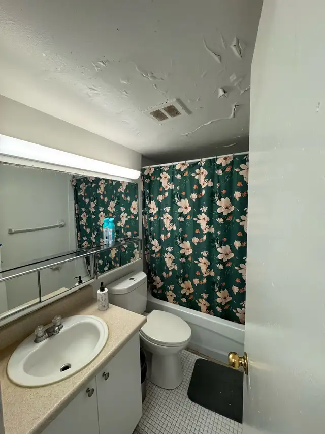 Private room for rent for female in Room Rentals & Roommates in City of Toronto - Image 7