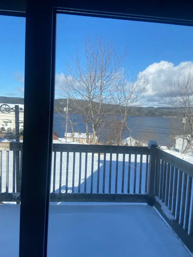 Two bed one bath Dulles for rent