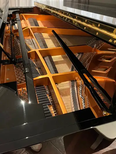 Boston Grand Piano GP163 PE, View more