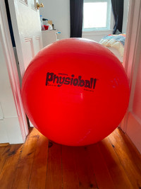 Physio Ball