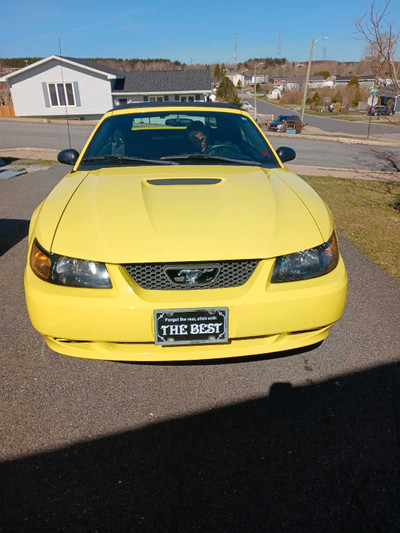 2001 Mustang Convertible