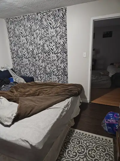 1 male student living in a 1 bedroom apartment at Beverly and Clyde location. Looking for 1 female i...