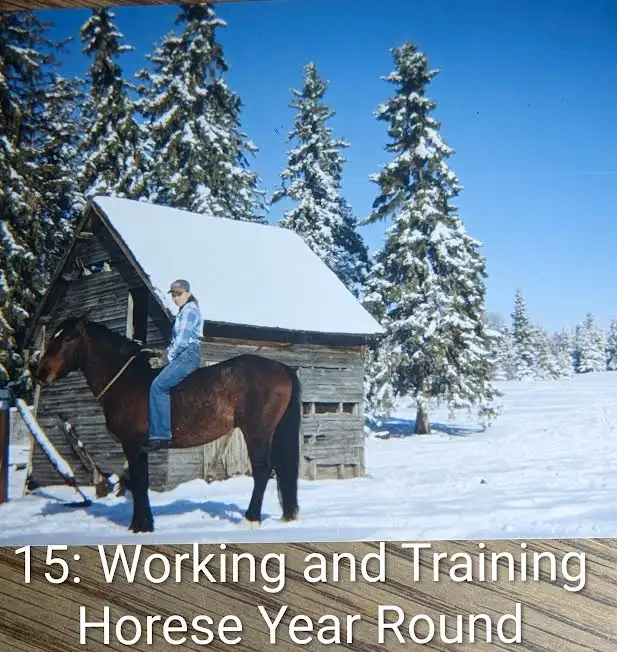 Learning to train horses438828896166891523